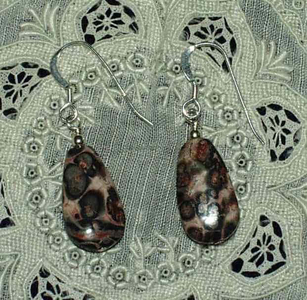 picture of earrings